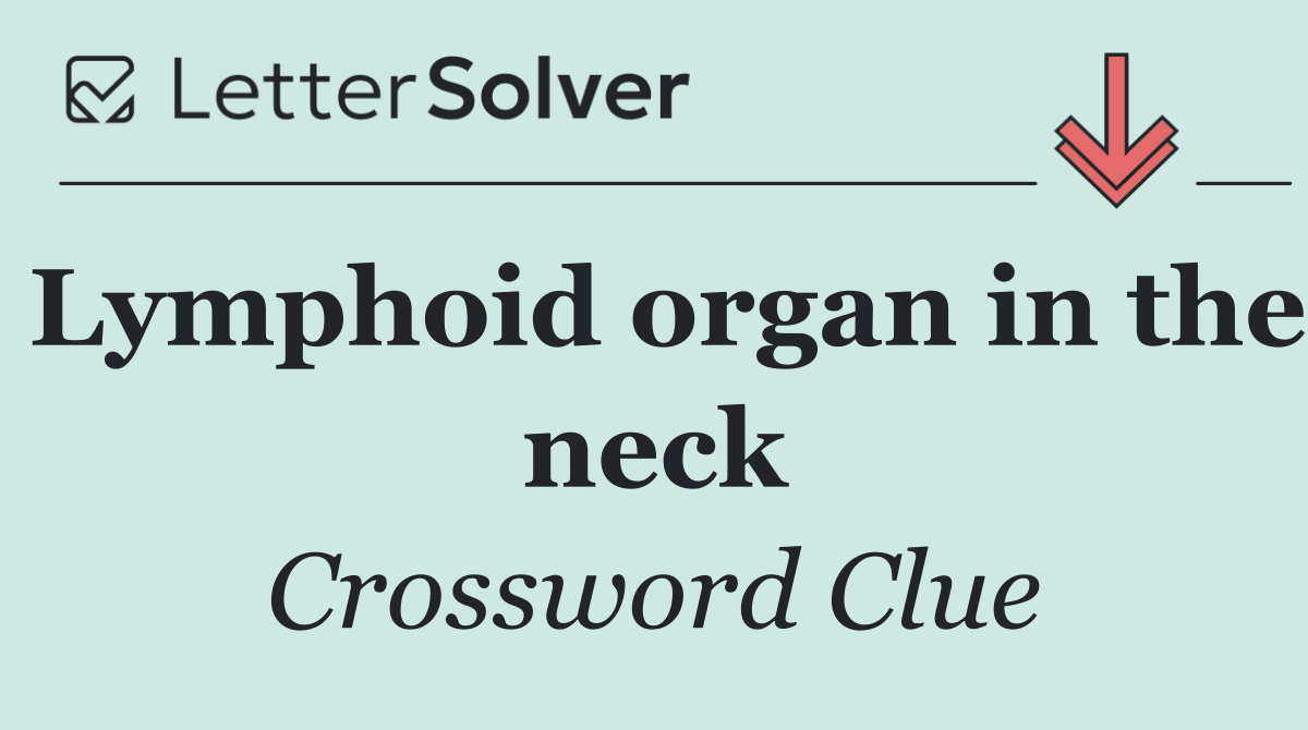 Lymphoid organ in the neck