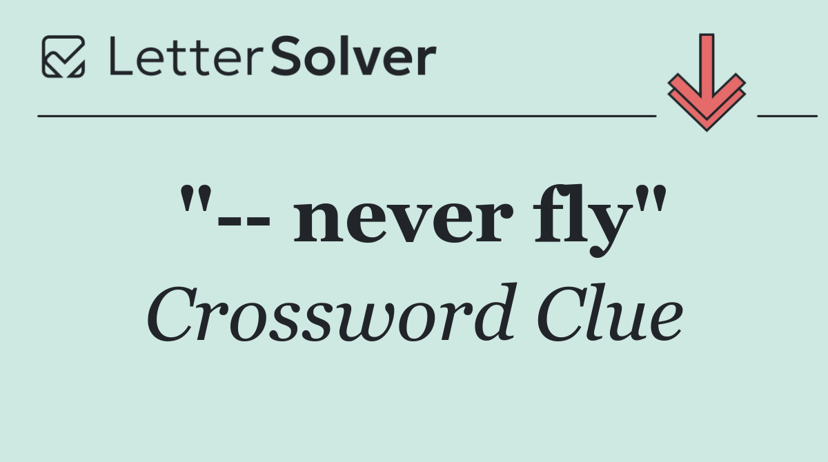 "   never fly"