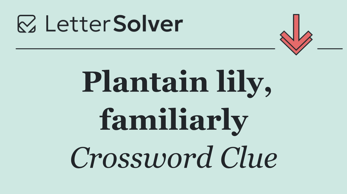 Plantain lily, familiarly