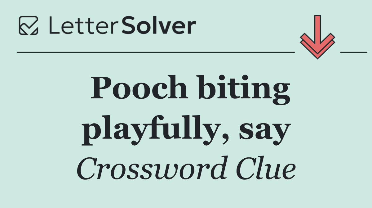 Pooch biting playfully, say