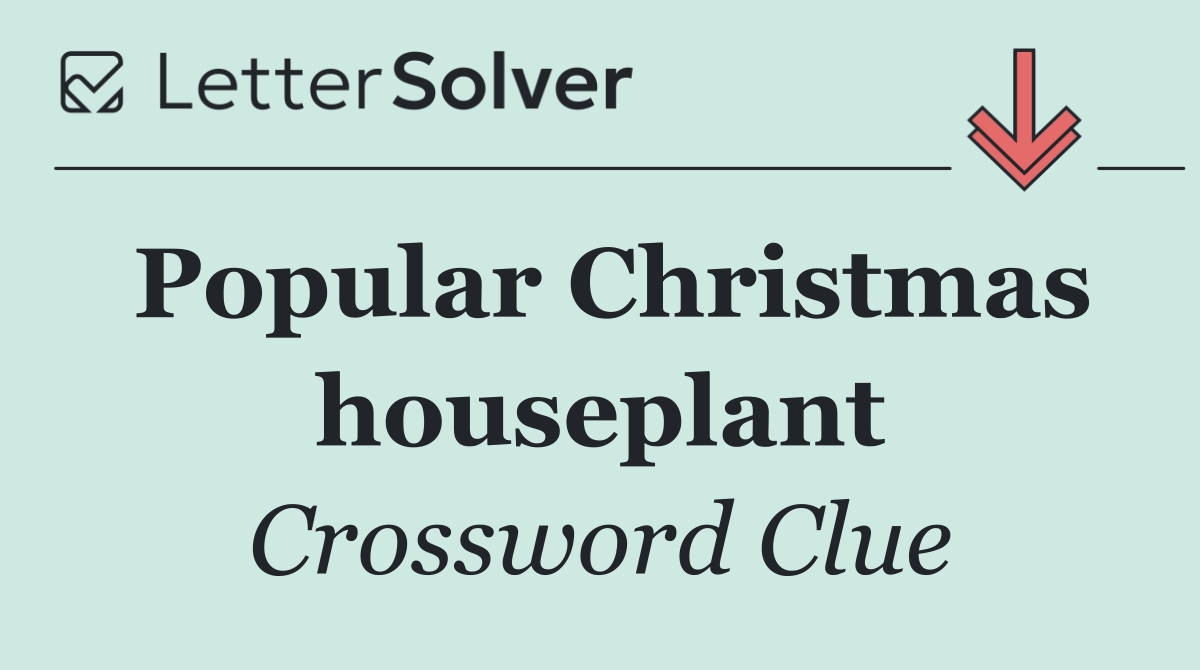 Popular Christmas houseplant