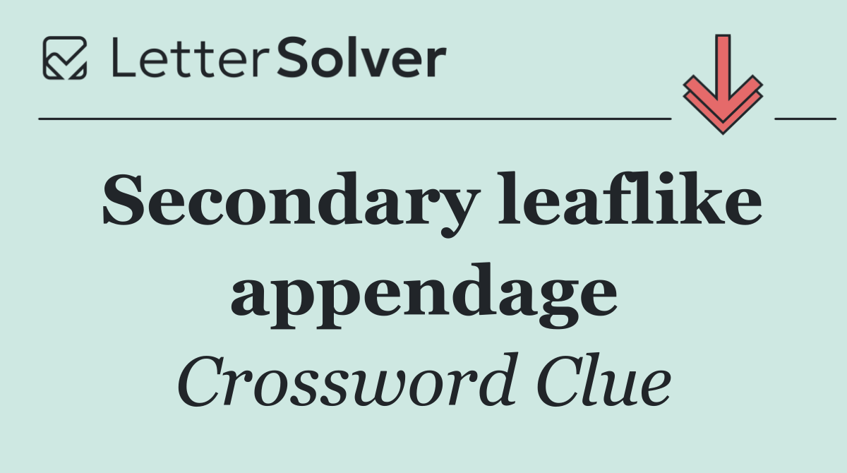 Secondary leaflike appendage