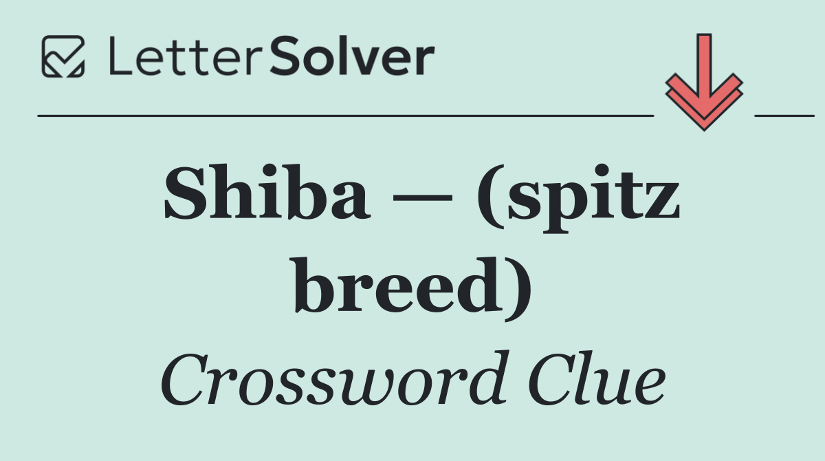 Shiba — (spitz breed)