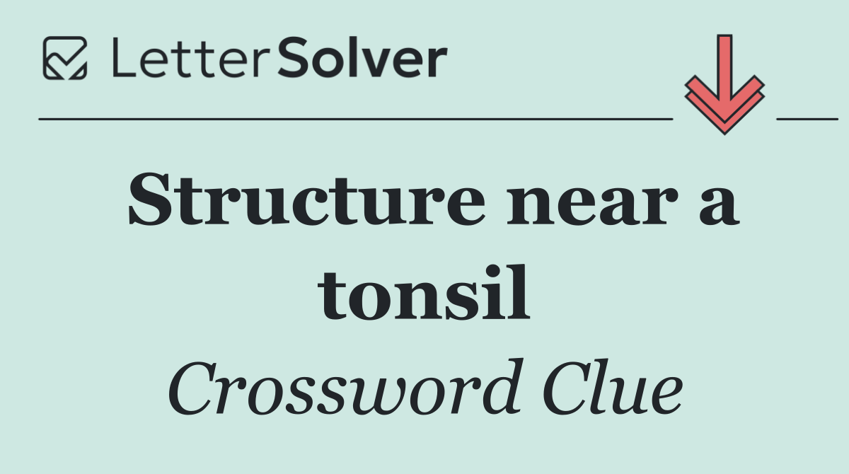 Structure near a tonsil
