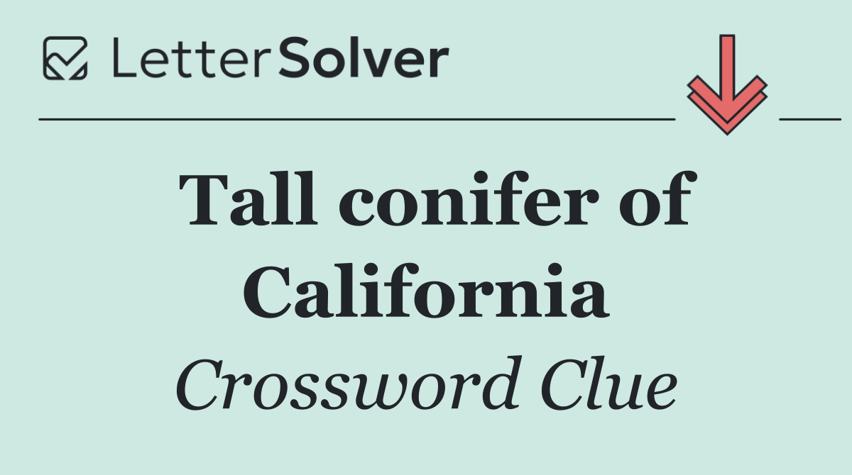 Tall conifer of California