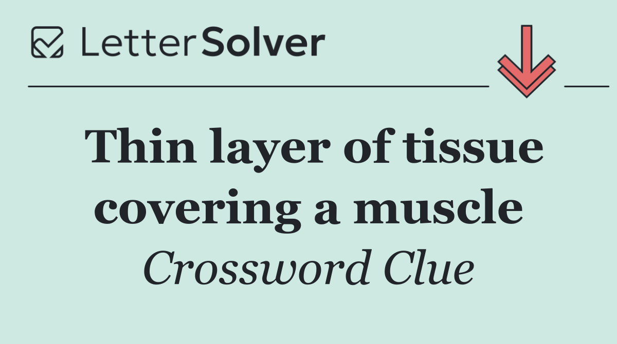 Thin layer of tissue covering a muscle