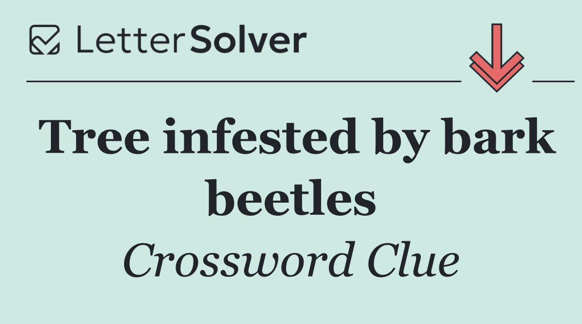 Tree infested by bark beetles
