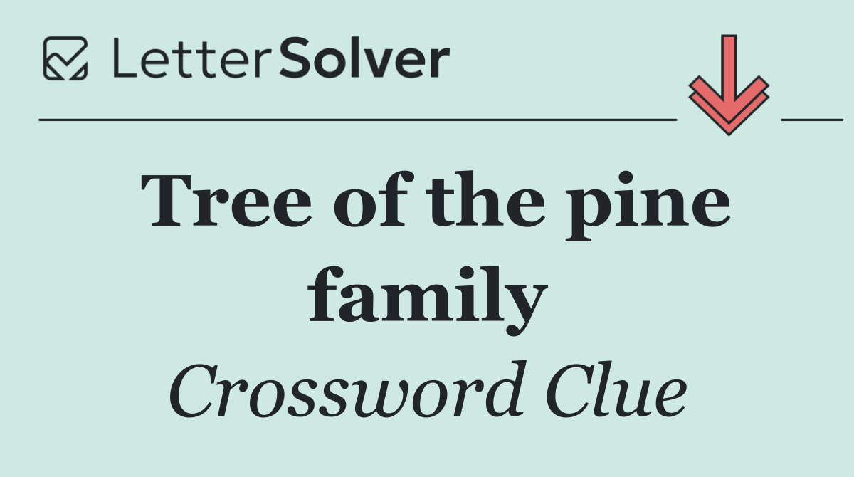 Tree of the pine family