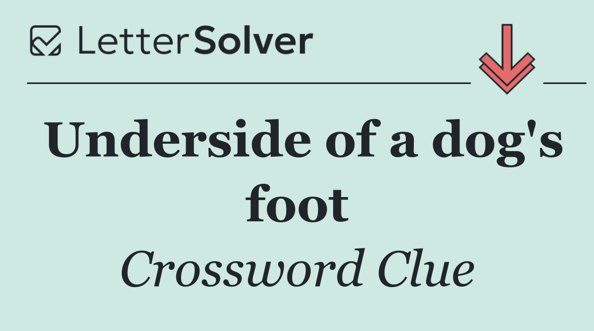 Underside of a dog's foot