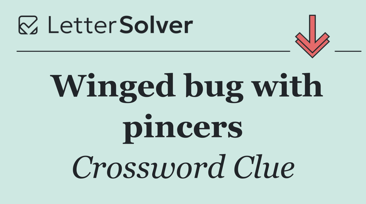 Winged bug with pincers