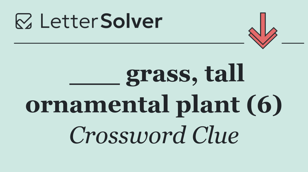 ___ grass, tall ornamental plant (6)