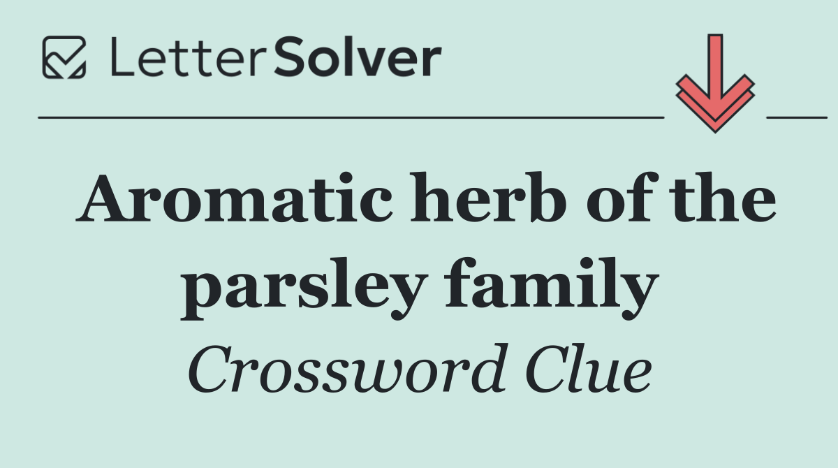 Aromatic herb of the parsley family