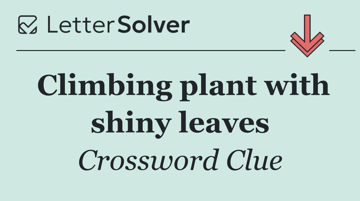 Climbing plant with shiny leaves