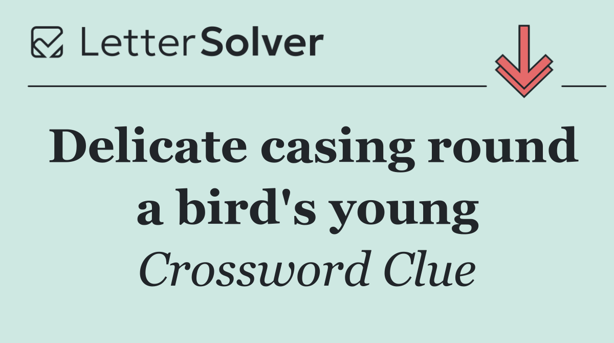 Delicate casing round a bird's young