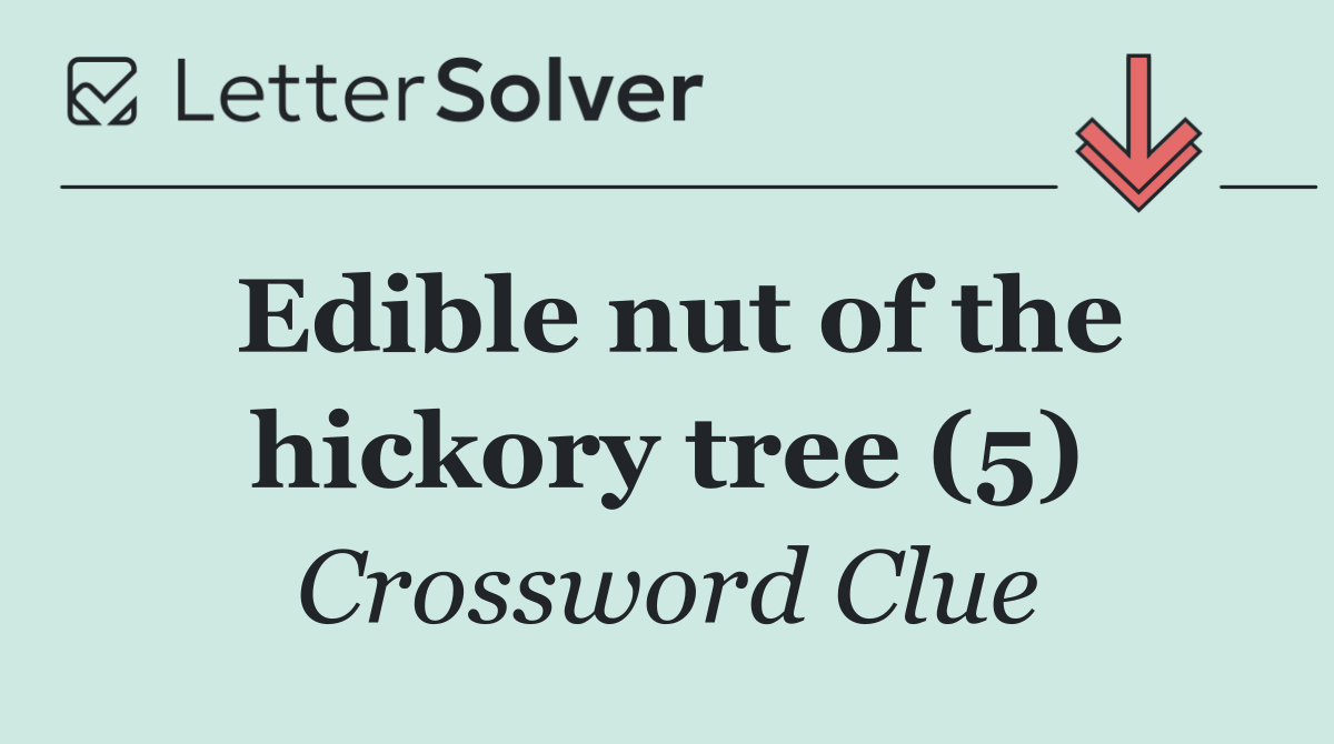 Edible nut of the hickory tree (5)