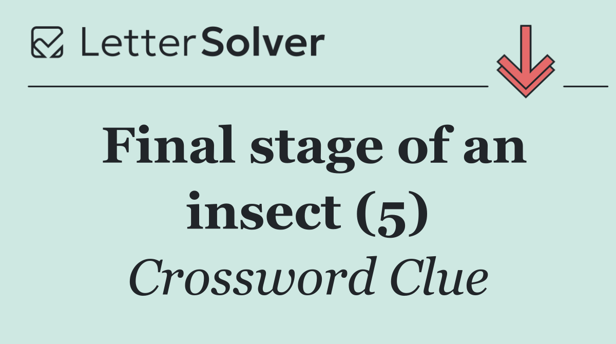 Final stage of an insect (5)