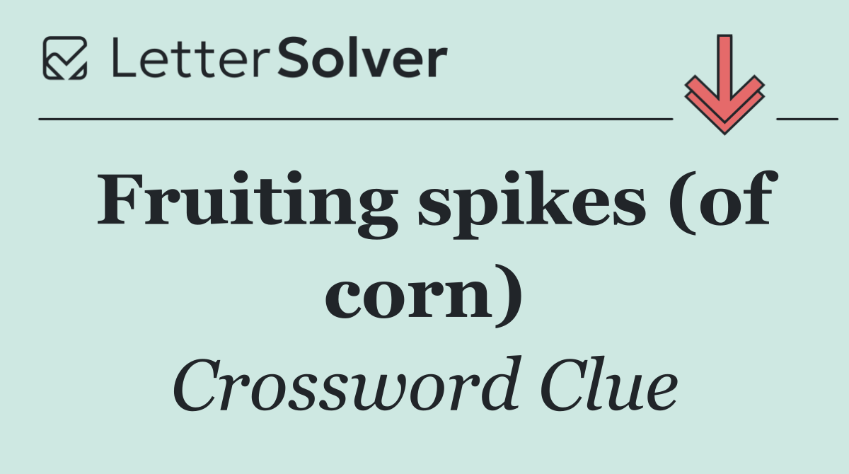 Fruiting spikes (of corn)
