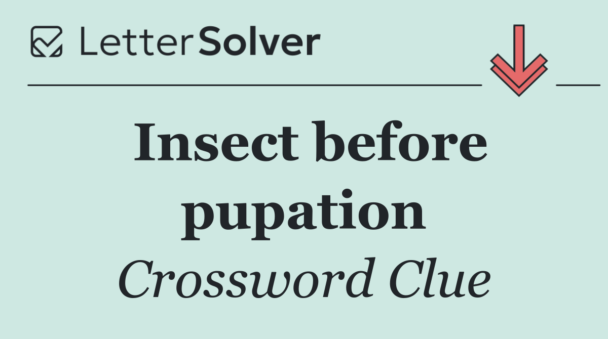 Insect before pupation