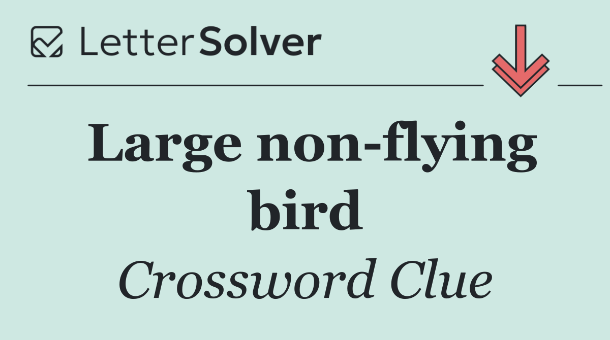 Large non flying bird