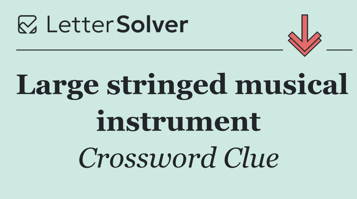 Large stringed musical instrument