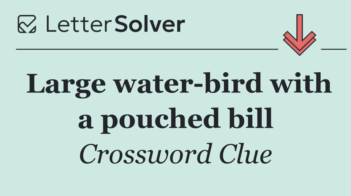 Large water bird with a pouched bill