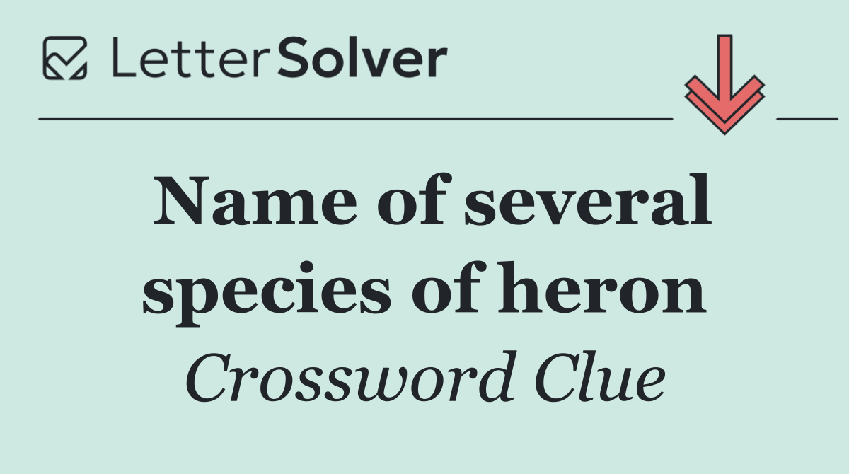 Name of several species of heron