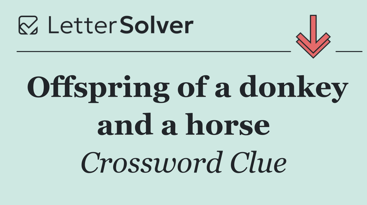 Offspring of a donkey and a horse