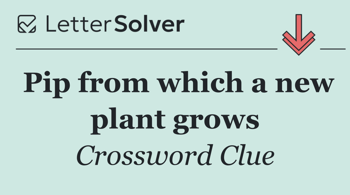 Pip from which a new plant grows