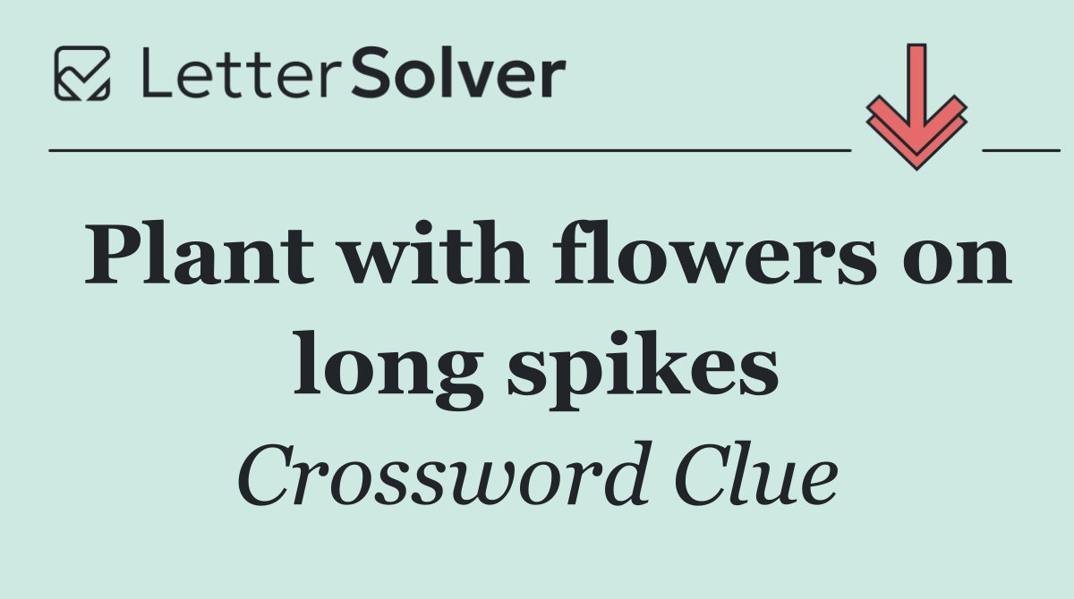 Plant with flowers on long spikes