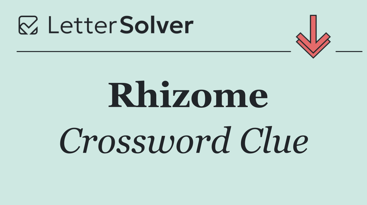 Rhizome