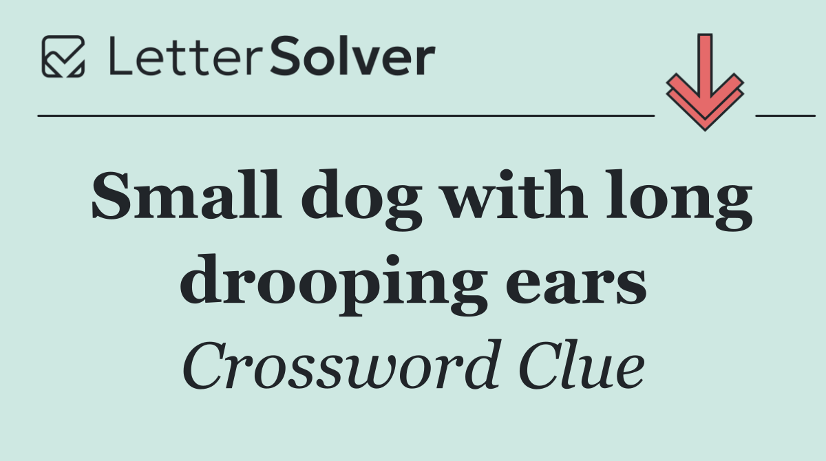 Small dog with long drooping ears