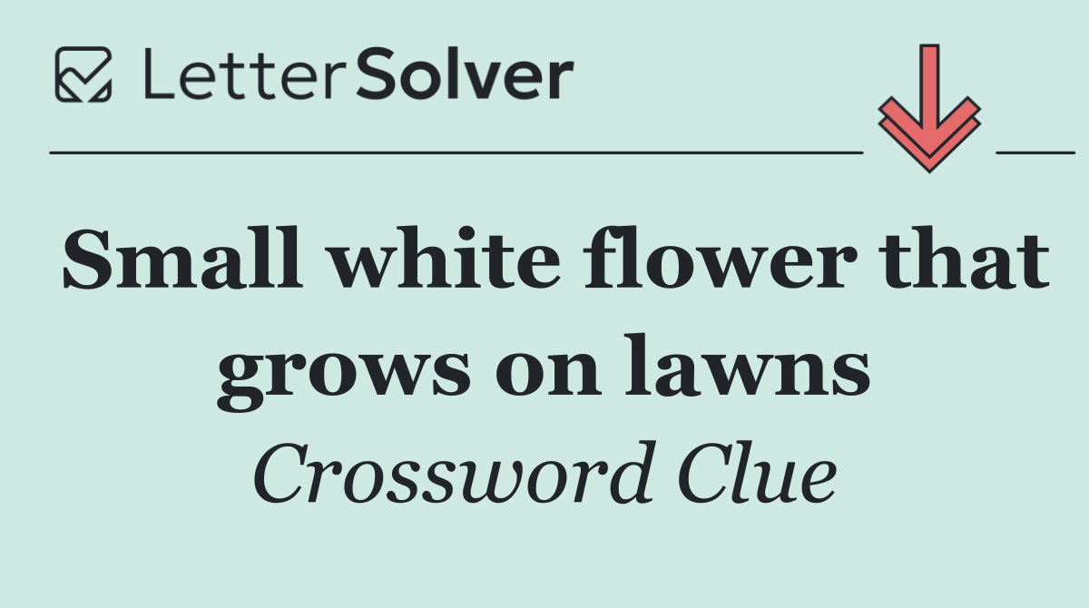 Small white flower that grows on lawns