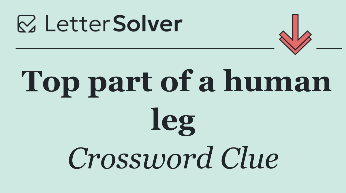 Top part of a human leg