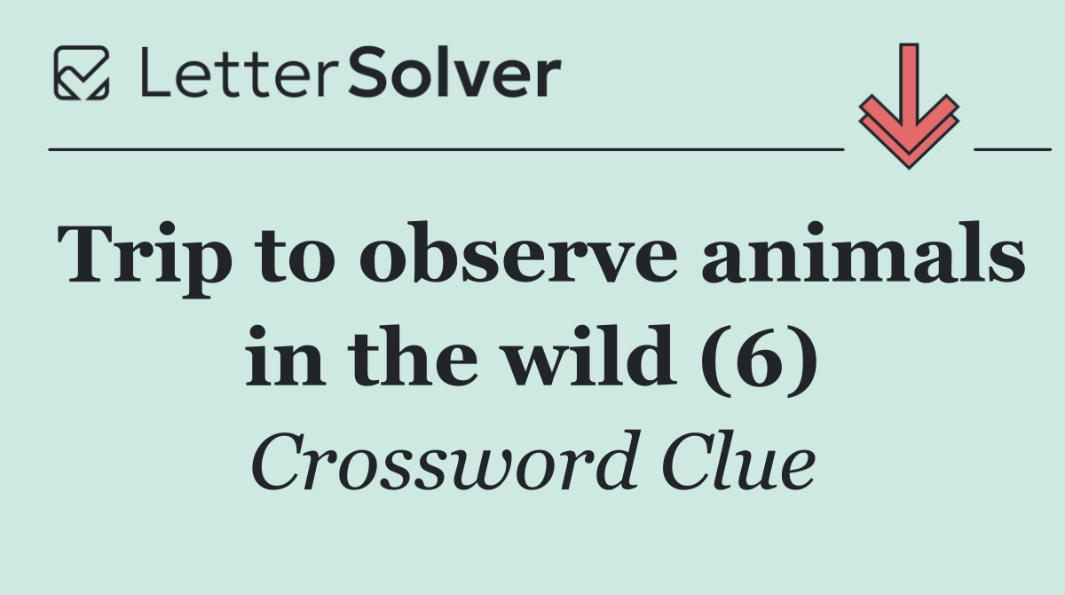 Trip to observe animals in the wild (6)