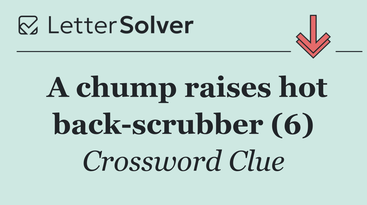 A chump raises hot back scrubber (6)