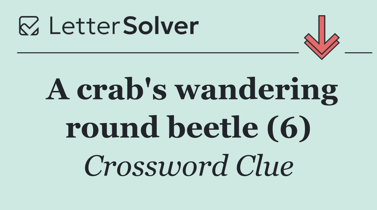 A crab's wandering round beetle (6)