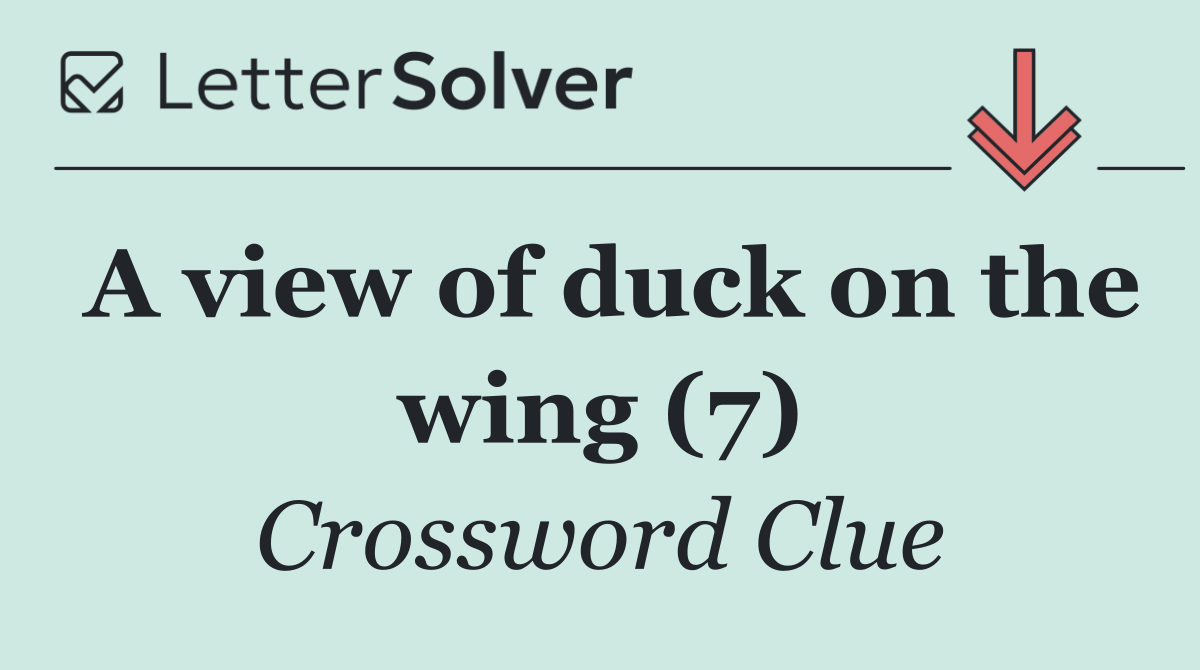 A view of duck on the wing (7)