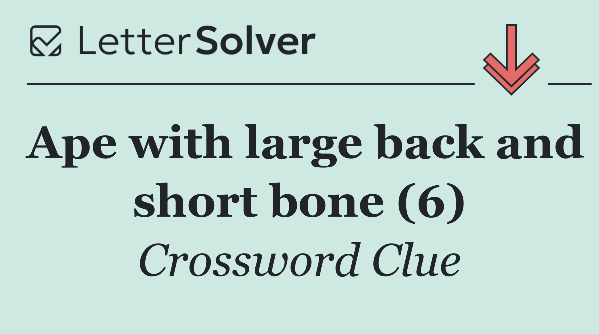 Ape with large back and short bone (6)