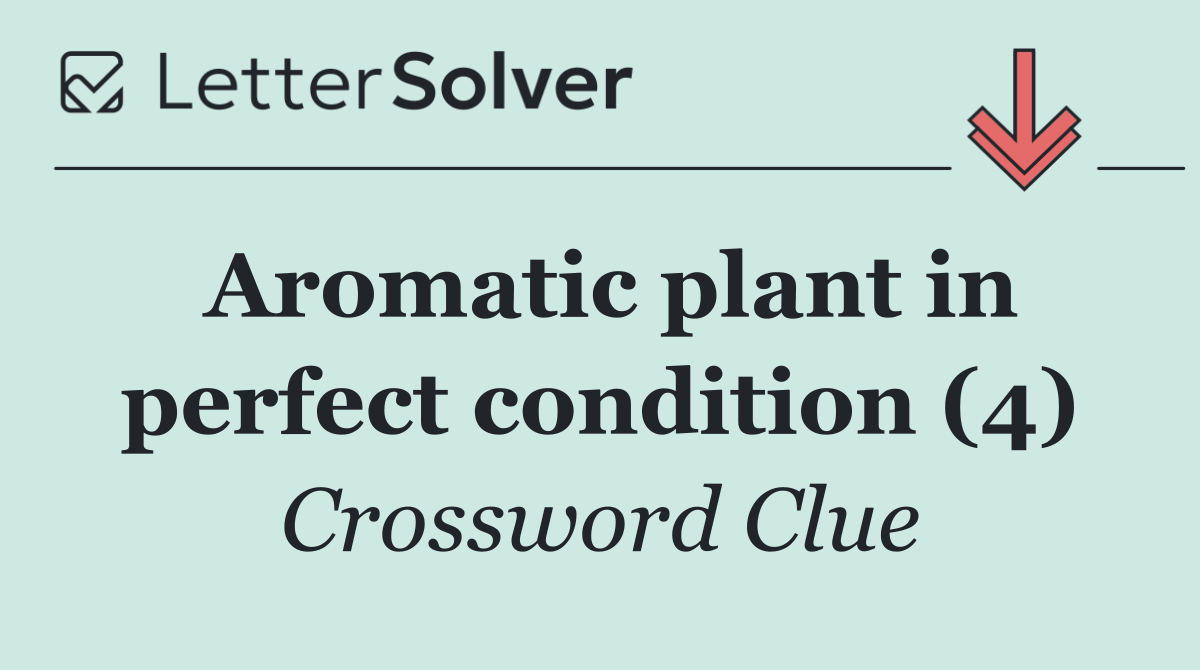 Aromatic plant in perfect condition (4)