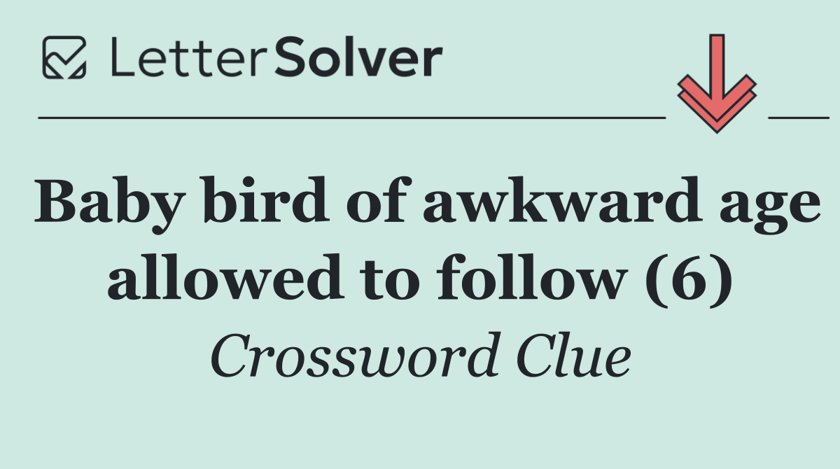 Baby bird of awkward age allowed to follow (6)