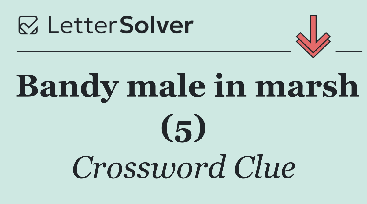 Bandy male in marsh (5)