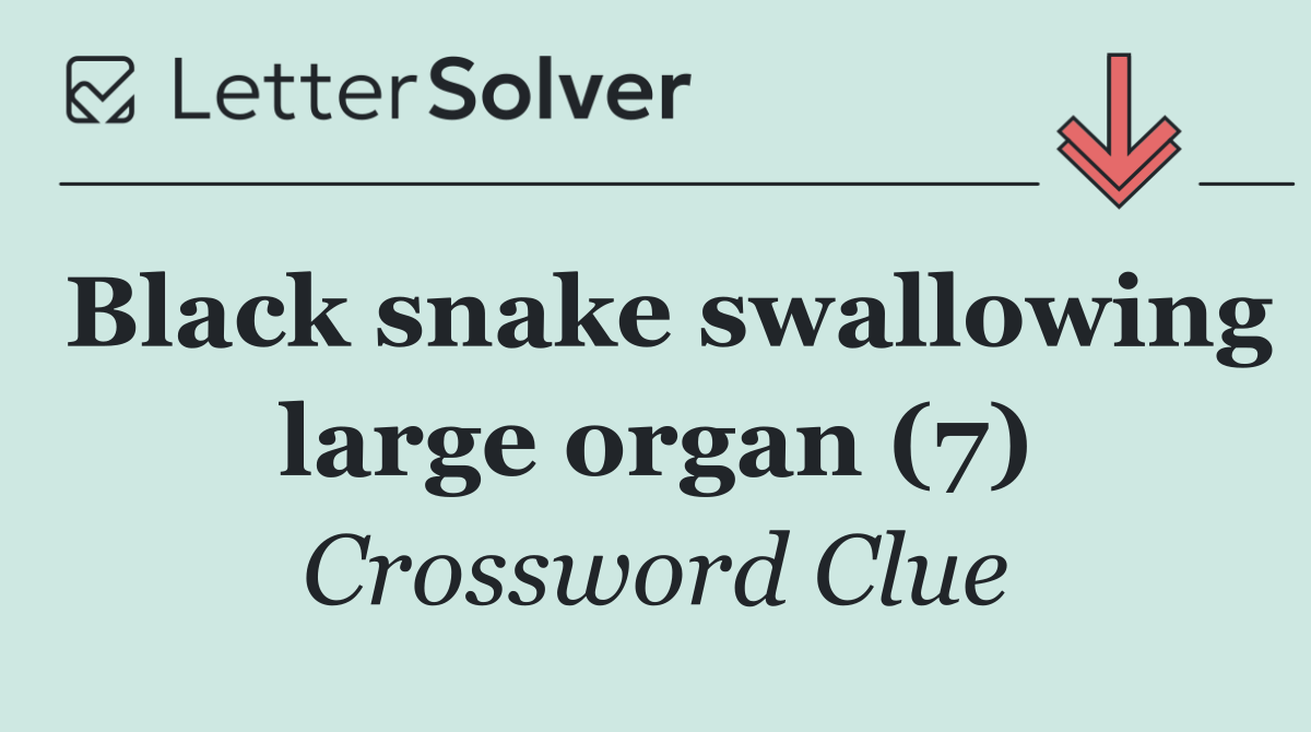 Black snake swallowing large organ (7)