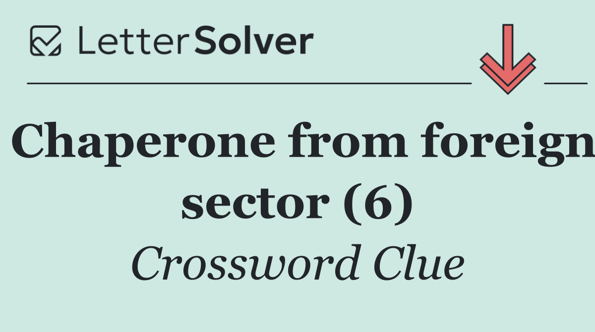 Chaperone from foreign sector (6)