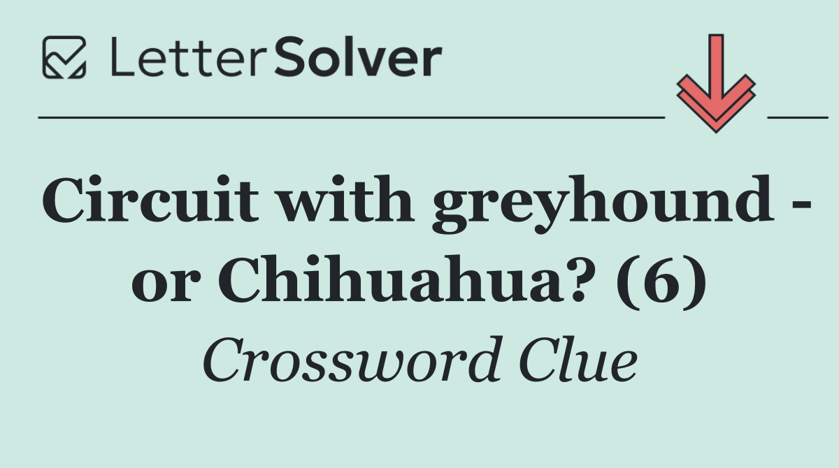Circuit with greyhound   or Chihuahua? (6)