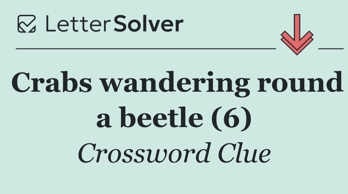 Crabs wandering round a beetle (6)