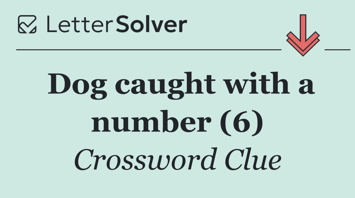 Dog caught with a number (6)