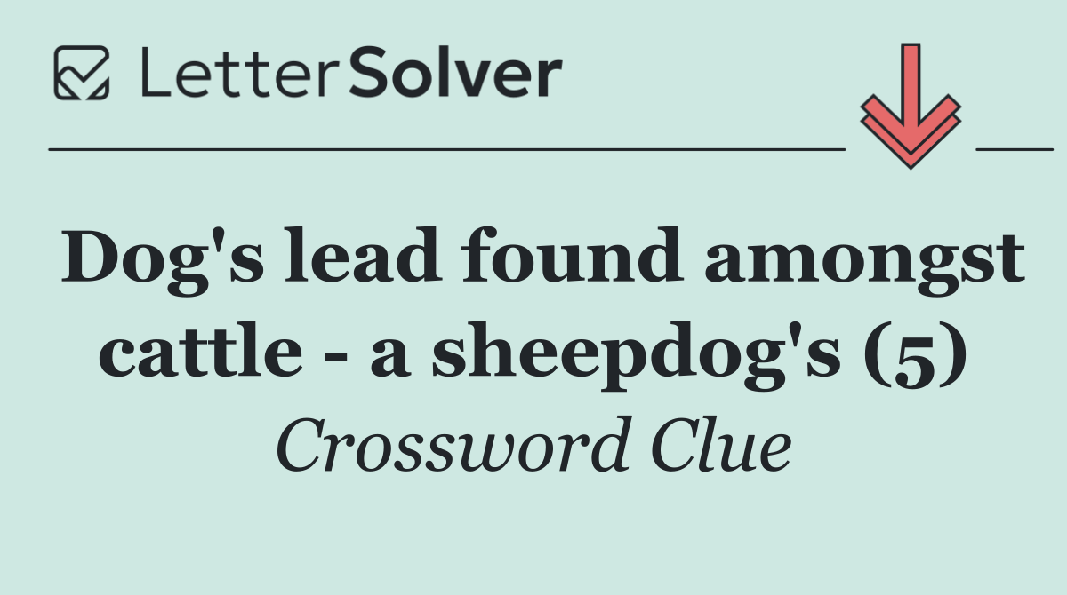 Dog's lead found amongst cattle   a sheepdog's (5)