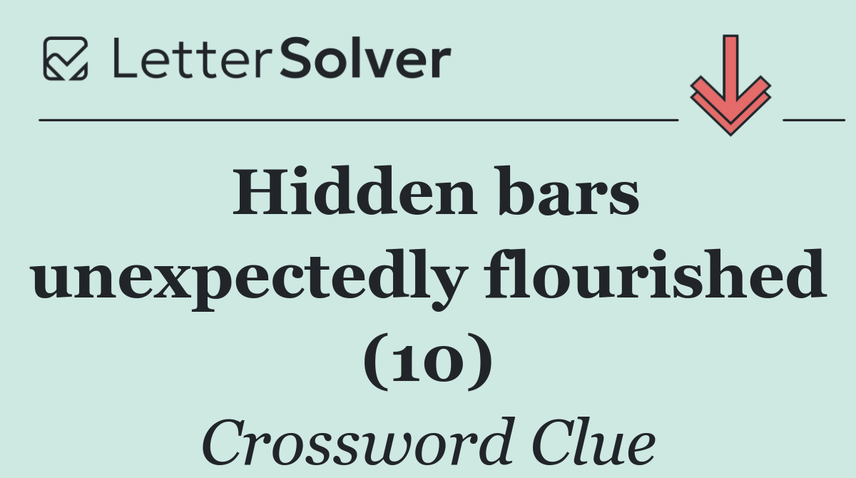 Hidden bars unexpectedly flourished (10)