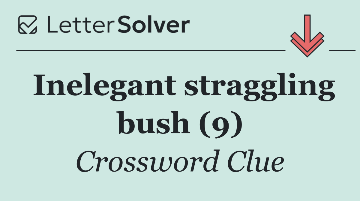 Inelegant straggling bush (9)