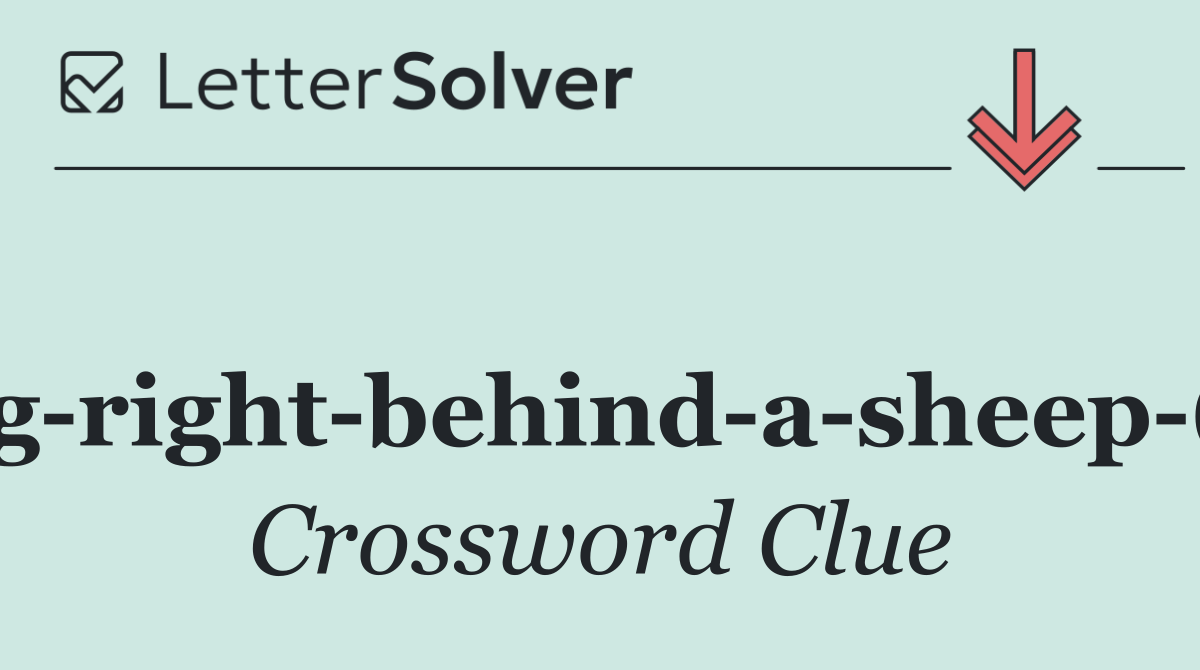 Jug right behind a sheep (4)